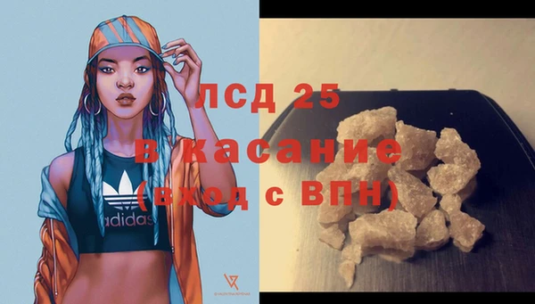 гашик Алексеевка