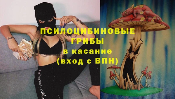 скорость Алзамай