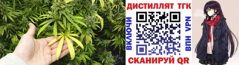 Дистиллят ТГК THC oil shop состав Заводоуковск наркотики