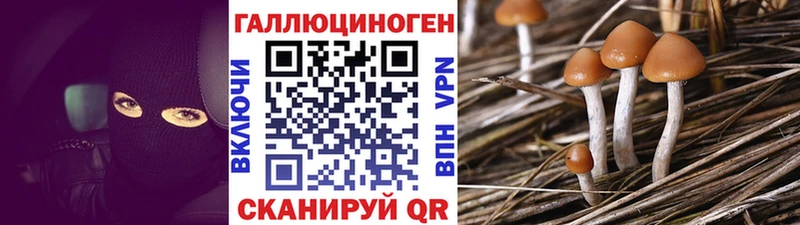 Галлюциногенные грибы GOLDEN TEACHER  купить наркоту  Заводоуковск 